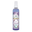 PACK LAVANDA INGLESA