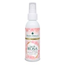 PACK LUZ DE ROSA